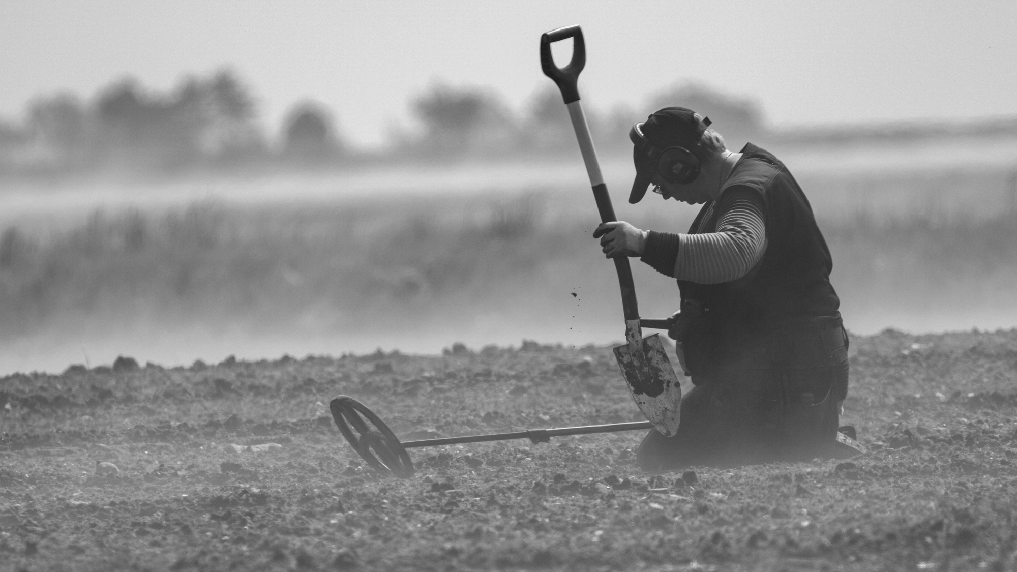Interpret The Signals